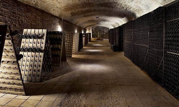 codorniu-bodegas.jpg