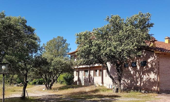 Hotel-subasta.jpg