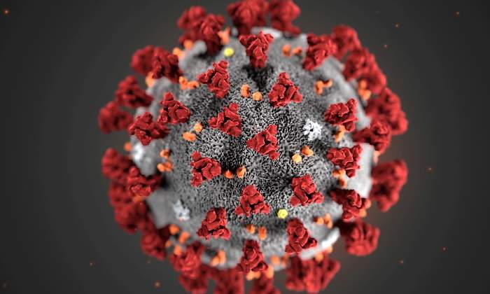 coronavirus-microscopio-bicho-reuters.jpg