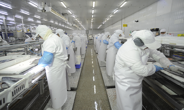 pesca-industrial-planta-congelados--foto-sonapesca.png