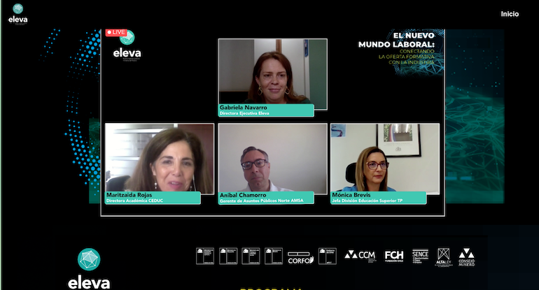Panel.WebinarEleva.png