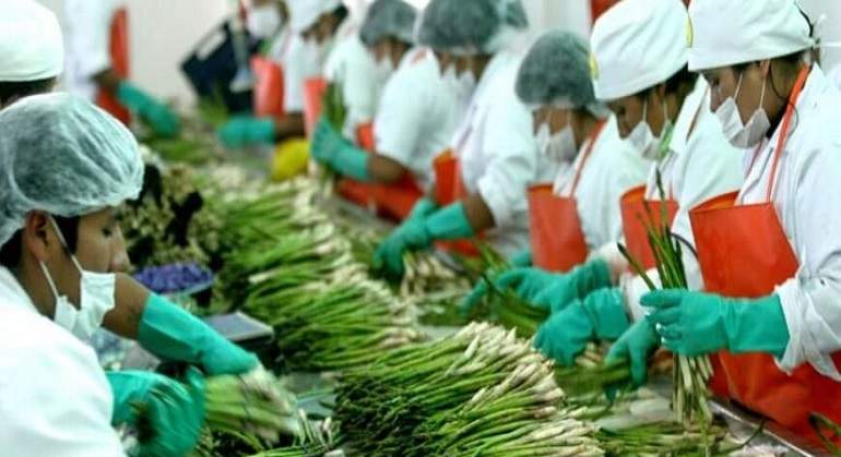 Agroexportacin
