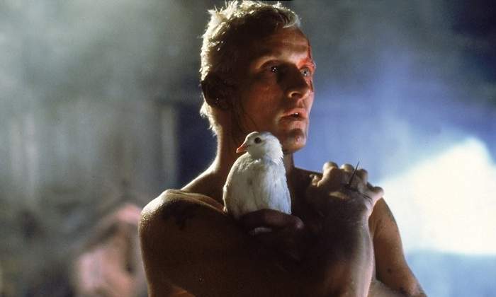 Blade-Runner-1982.jpg