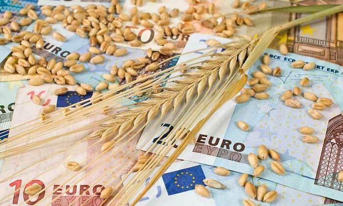El precio de los alimentos se multiplica ya hasta por diez entre el campo y el supermercado