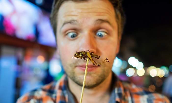 Un-hombre-con-un-insecto-frito-iStock.jpg