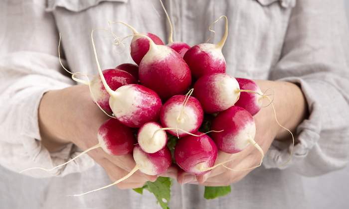 proteina-vegetal-dreamstime.jpg