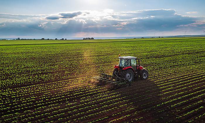 tractor.jpg