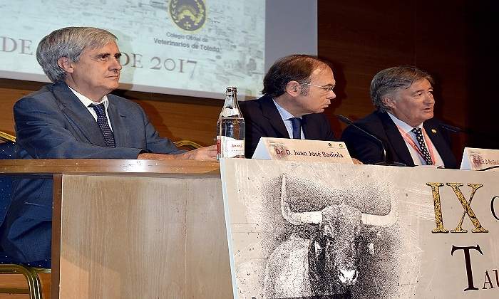 ponencia