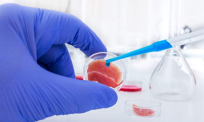 carne-cultivada-laboratorio-dreamstime.jpg