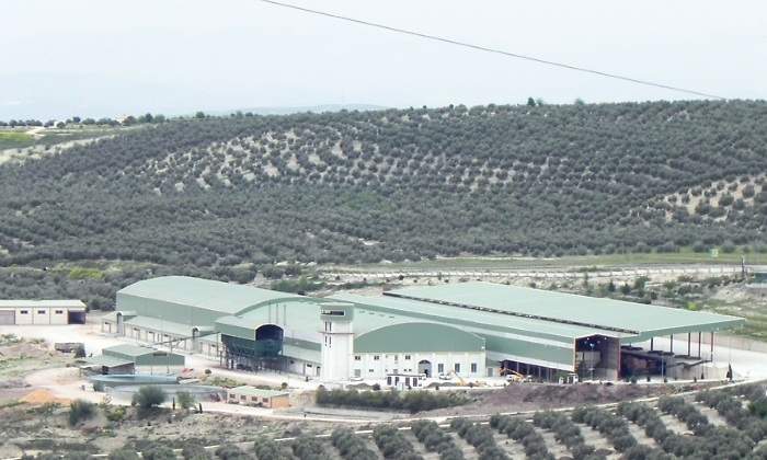 cooperativa-jaen2-770x420.jpg