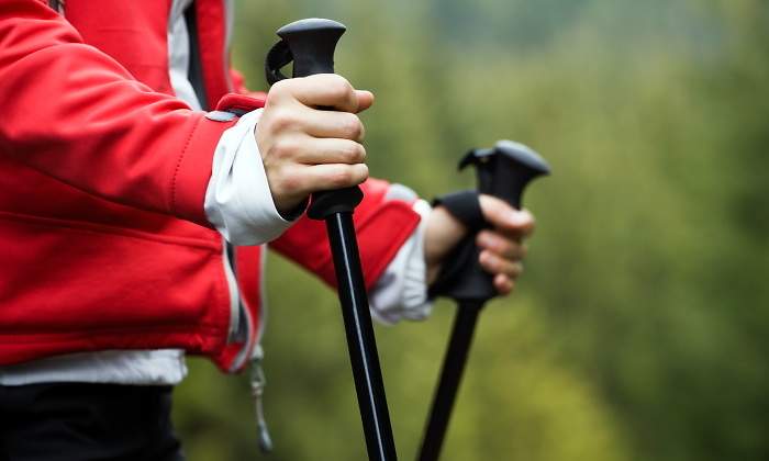 nordic-walking-dreamstime.jpg