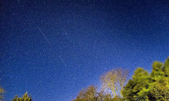 770x420starlink.jpg