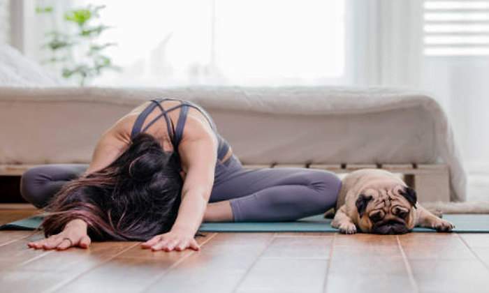 ejercicio-con-tu-mascota-istock.jpg