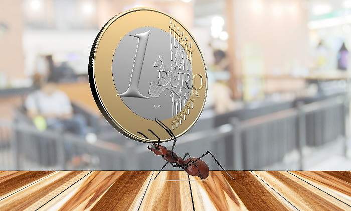 hormiga-euro-alamy.jpg