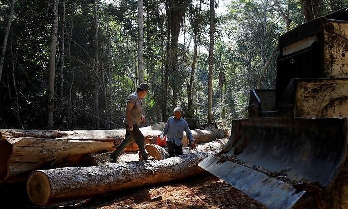 amazonas-tala-arboles-reuters.jpg