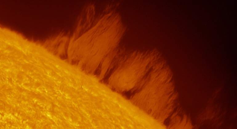 La pared del plasma