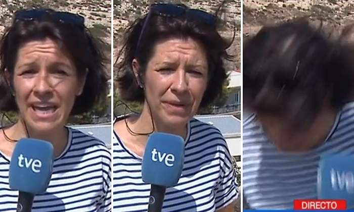 reportera-tve-avispa.jpg