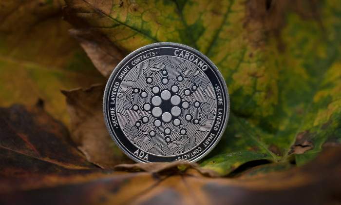 cardano-cripto.jpg