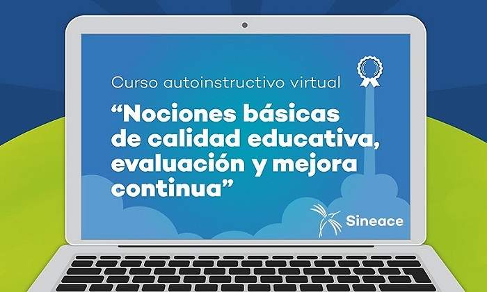 sineace-curso-virtual.jpg