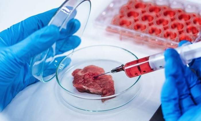 carne-artificial-solomillo-laboratorio-dreamstime.jpg