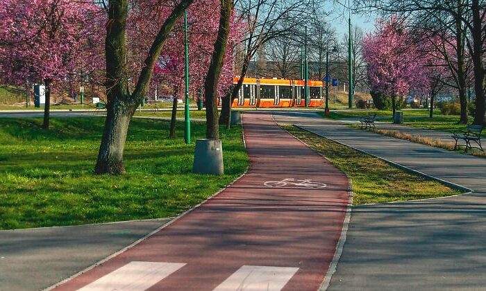 bike-path-6935713_1280-1.jpg