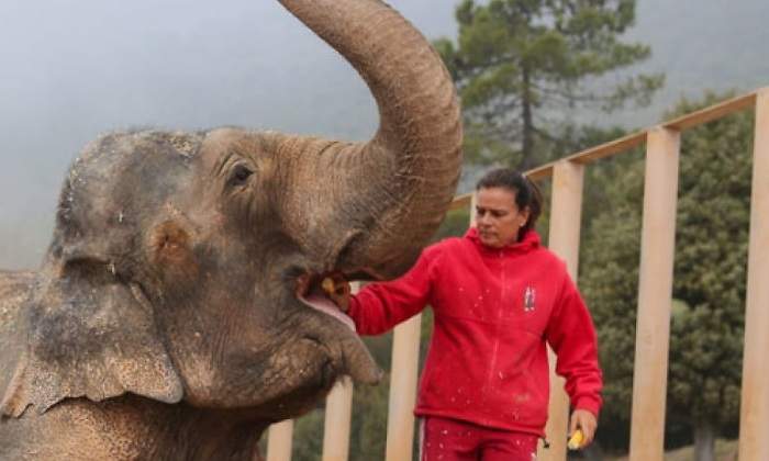 estefania-animalistas770.jpg