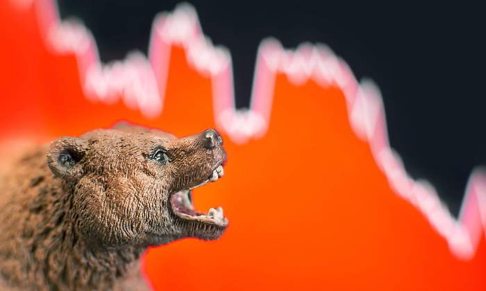 oso-ciclo-bolsa-dreamstime-770x420.jpg