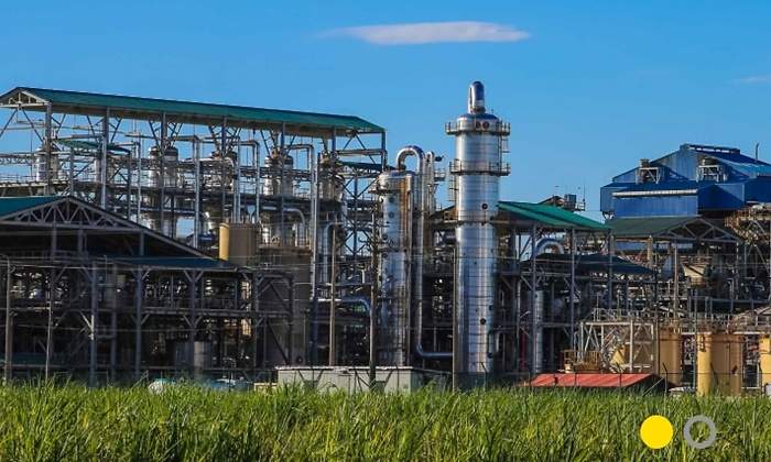bioenergy