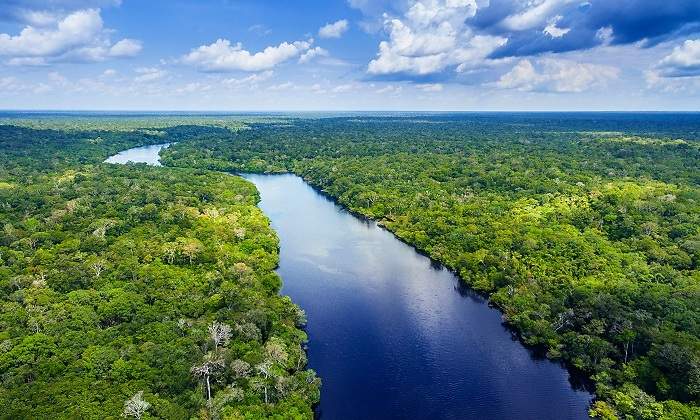 Extenso-rio-entre-la-vegetacion-iStock.jpg