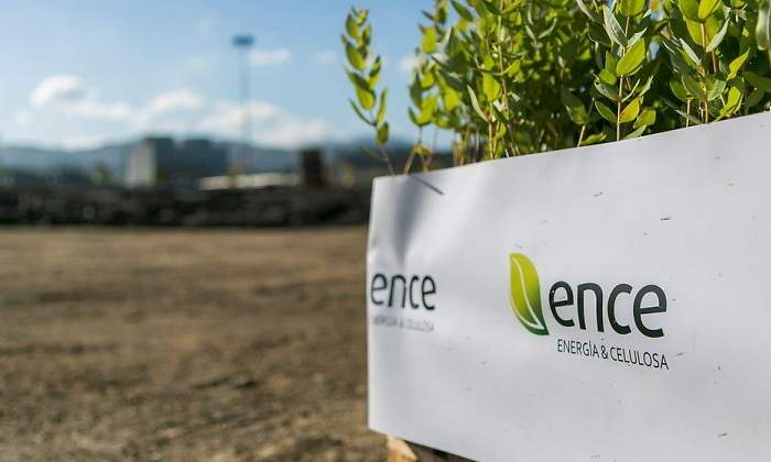 Gestin forestal de Ence