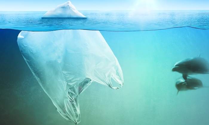 delfines-plastico-dreams.jpg