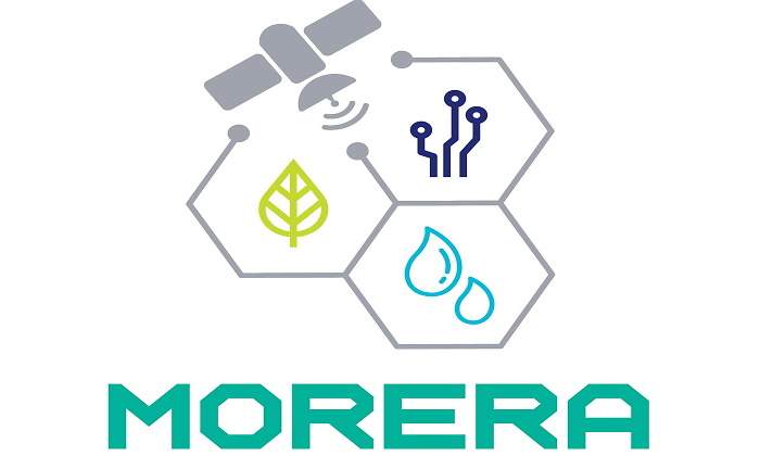morera.jpg
