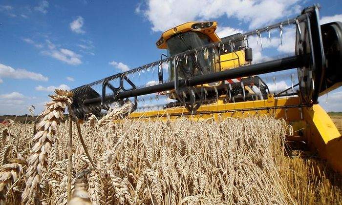 trigo-campo-tractor-reuters.jpg