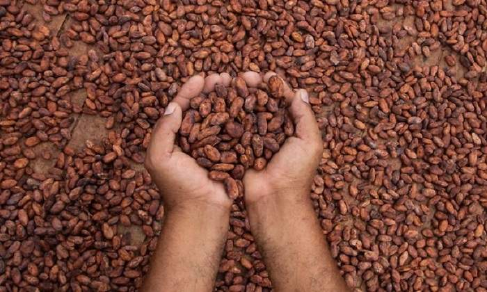 chocolate.jpg