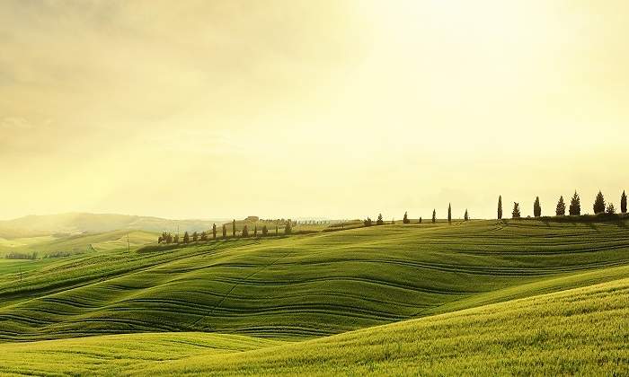iStock-180819399.jpg