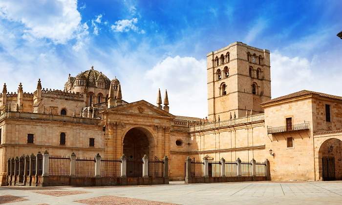 zamora-770.jpg