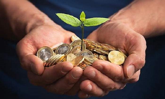 700x420_dinero-verde-istock.jpg