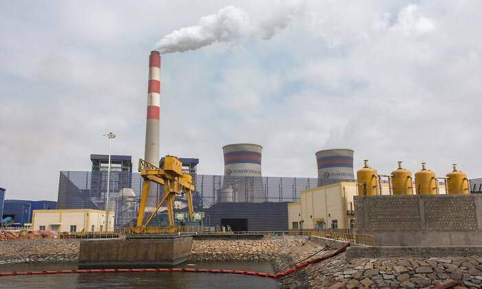 planta-carbon.jpg