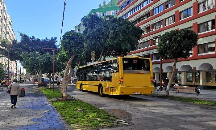 bus.jpg