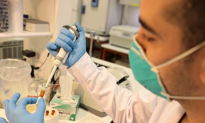 Pruebas moleculares