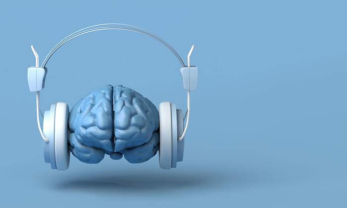Oido-cerebro-istock-770.jpg