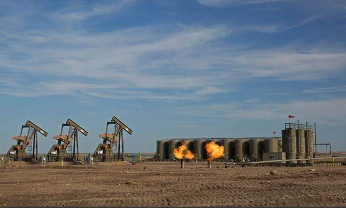 Petroleras-770.jpg