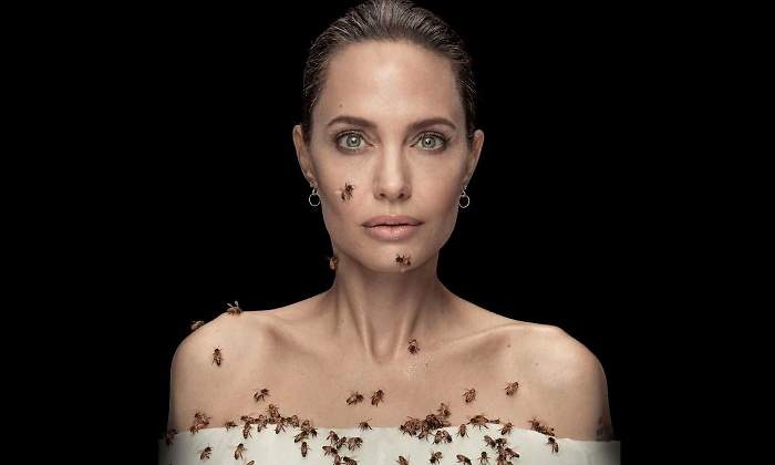 angelina-jolie-abejas-770.jpg