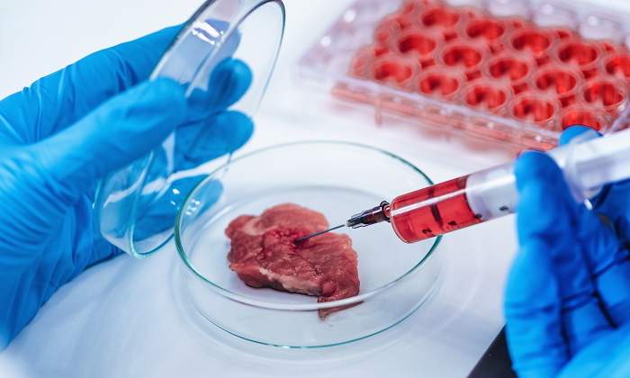 carne-artificial-solomillo-laboratorio-dreamstime.jpg