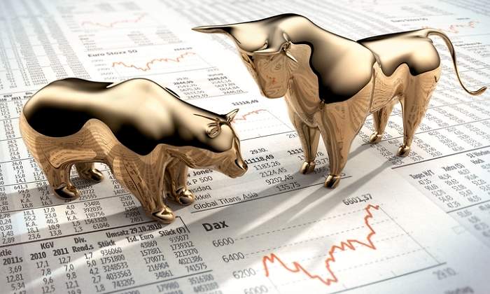 bolsa-toro-oso-dorado-general-dreams.jpg