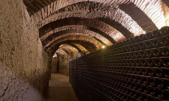 bodegarioja.jpg