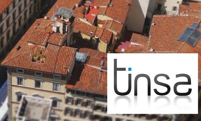 tinsa.jpg