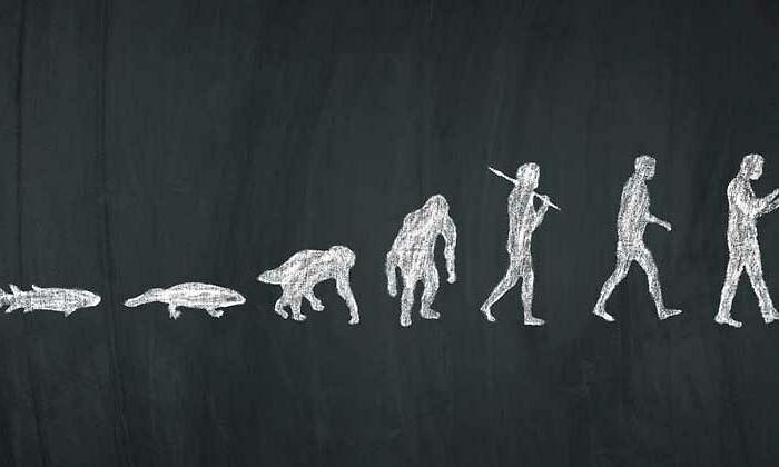 Evolucion-770-istock.jpg