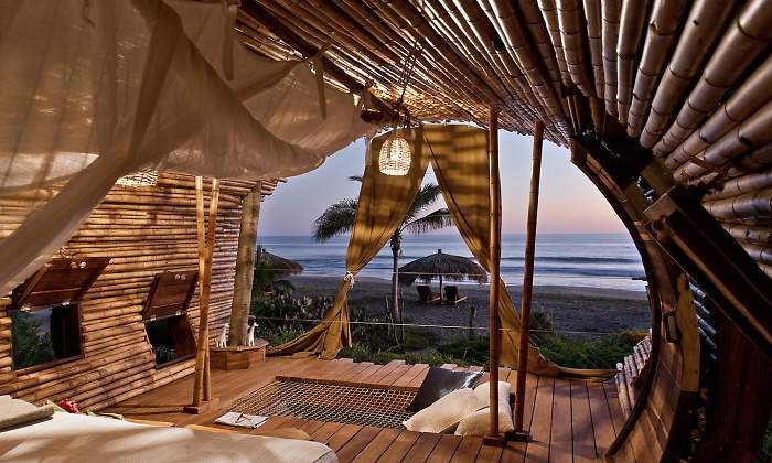 770x420-casa-arbol-portada.jpg