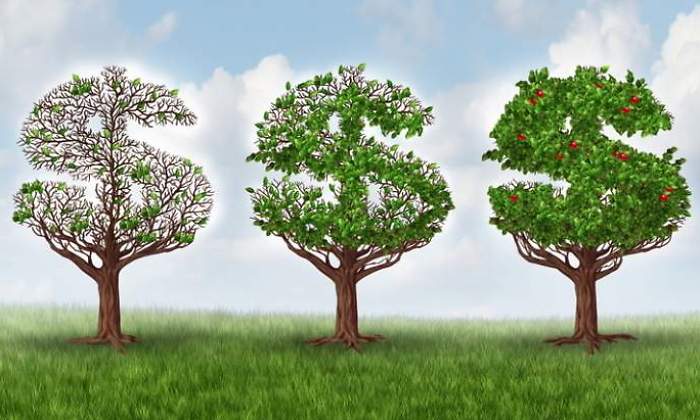 arboles-dinero-770.jpg